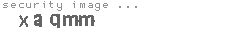 security image