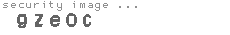 security image