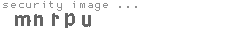 security image