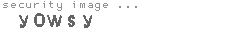 security image