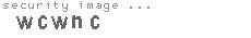 security image