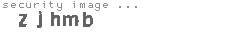 security image