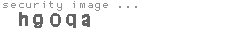 security image
