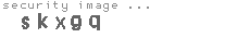 security image