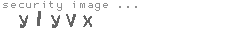 security image