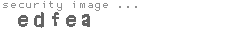 security image