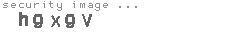 security image