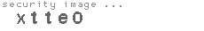 security image