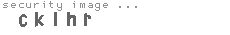 security image