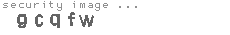 security image