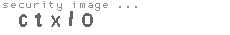 security image