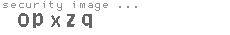 security image
