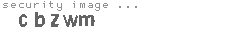 security image