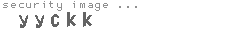security image