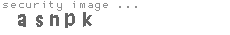 security image