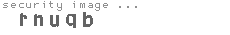 security image