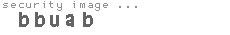 security image