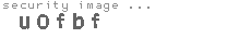security image