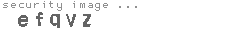 security image