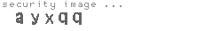 security image