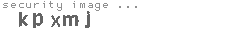 security image