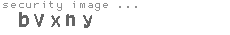 security image