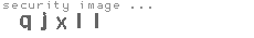 security image