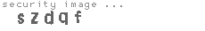 security image