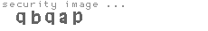 security image