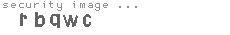 security image