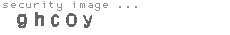 security image
