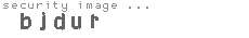 security image