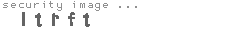 security image