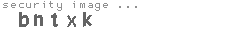 security image