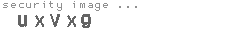 security image