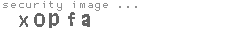 security image