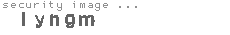 security image