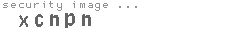 security image
