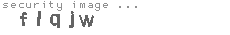 security image
