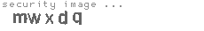 security image