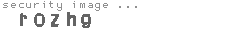 security image