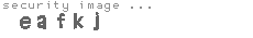 security image
