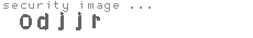 security image