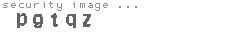 security image