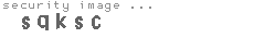 security image