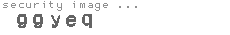 security image