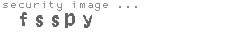 security image