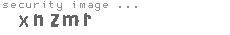 security image