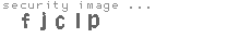 security image