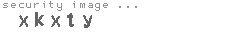 security image